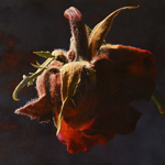 
	Rose  81 x 105 cm  oil on wood
