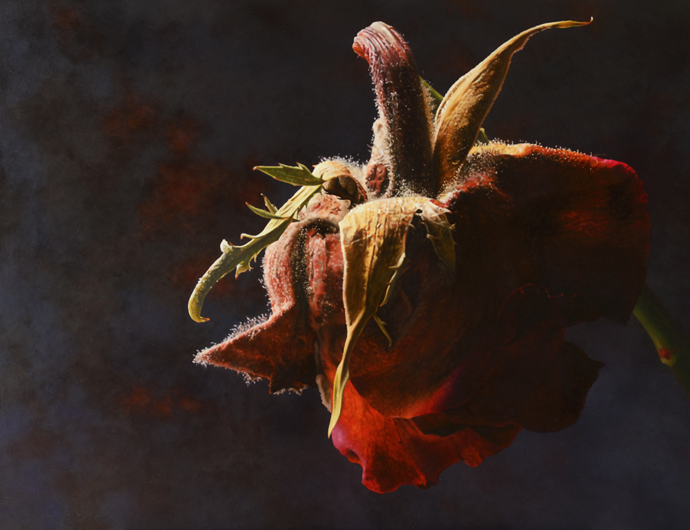 
	Rose  81 x 105 cm  oil on wood
